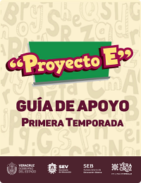Proyecto E