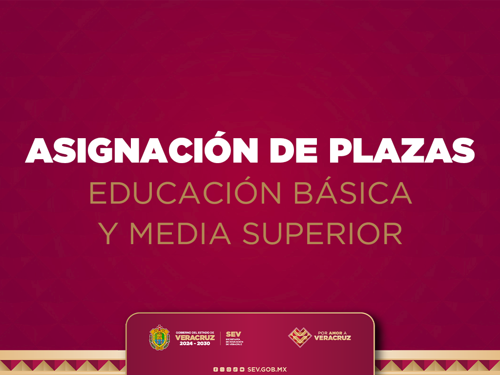ASIGNACIÓN DE PLAZAS MICROSITIO