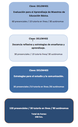 ELEMENTOS PARA LA REFLEXIÓN Y LA SISTEMATIZACIÓN DE LA PRÁCTICA DOCENTE