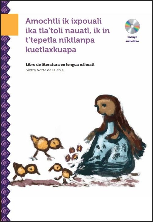Enlace de Género
